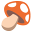 🍄 🍄